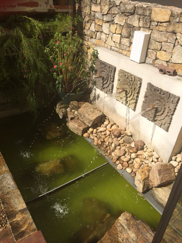 Lago com cascata em processo de recuperação