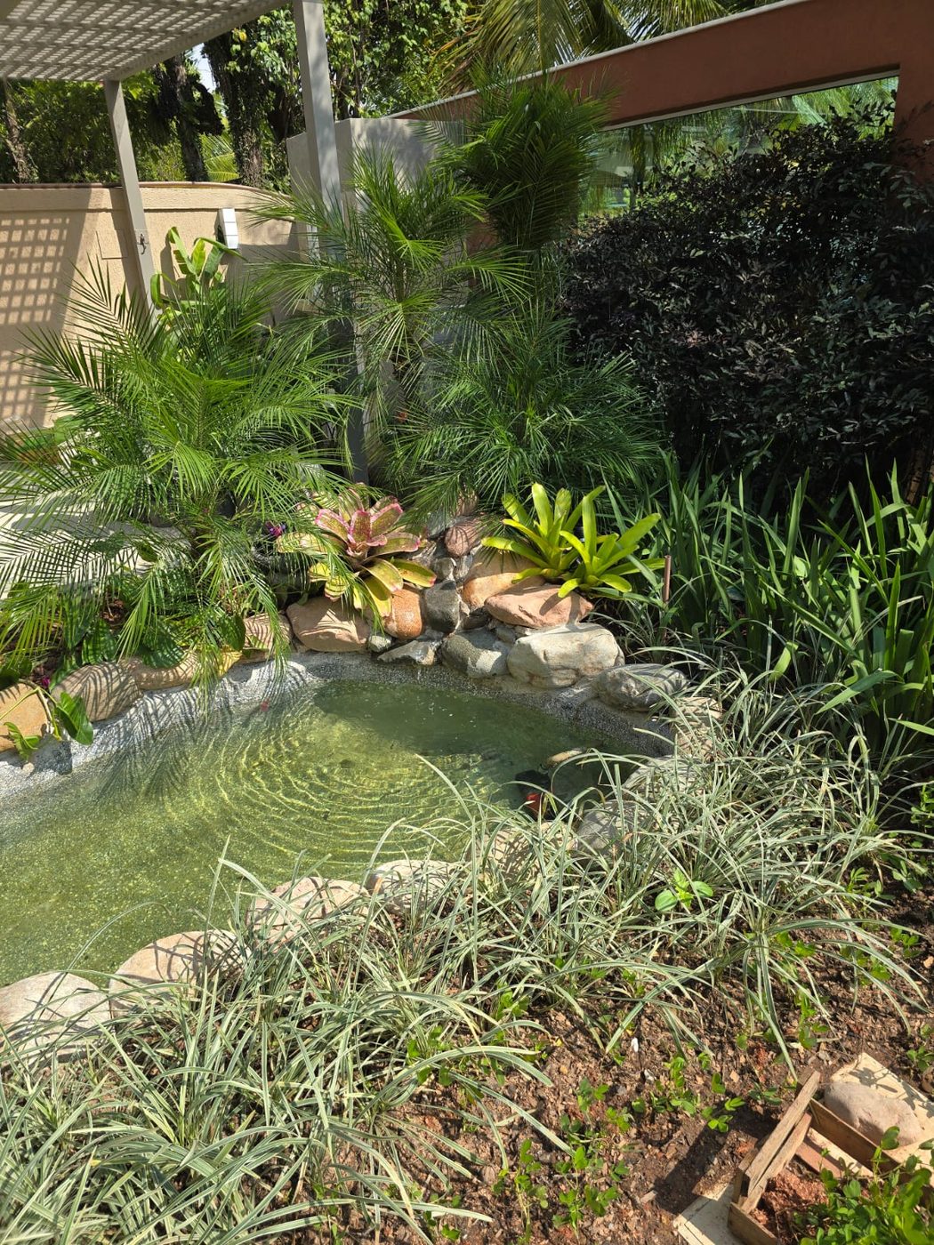 Lago ornamental com pedras, bromélias e palmeiras em jardim residencial